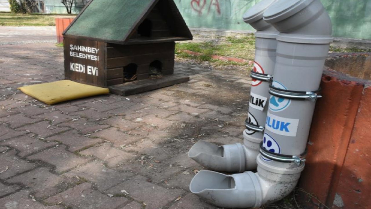 Gaziantep'te Sokak hayvanları için su çağrısı