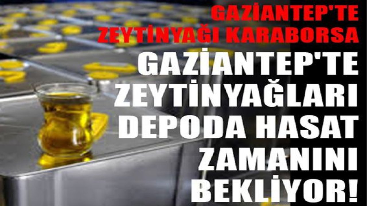 GAZİANTEP'TE ZEYTİNYAĞI VURGUNU! ÇEYREK Altın ile yarışıyor! YAĞLAR DEPODA HASAT ZAMANINI BEKLİYOR!