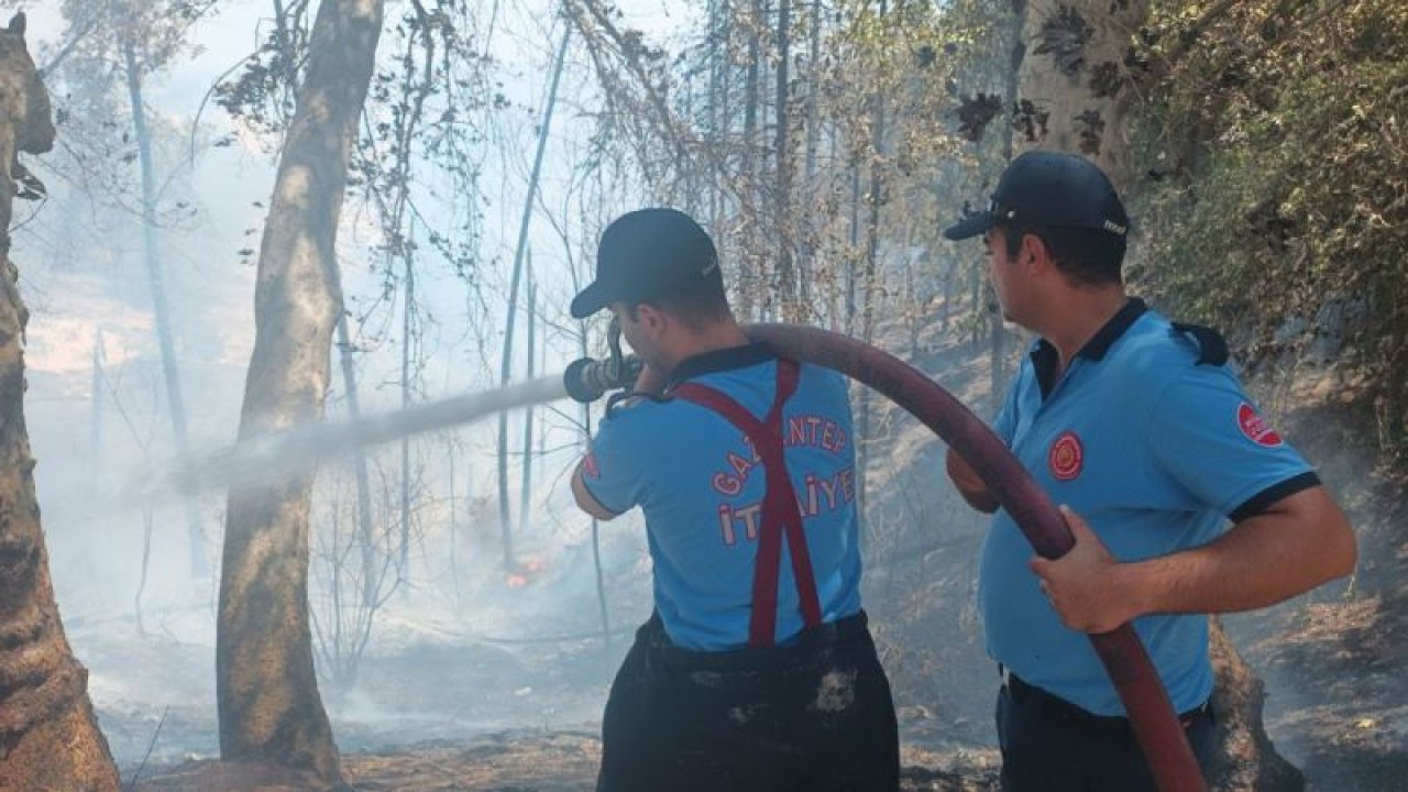 Gaziantep'te çıkan orman yangını itfaiye ekiplerinin müdahalesi ile söndürüldü