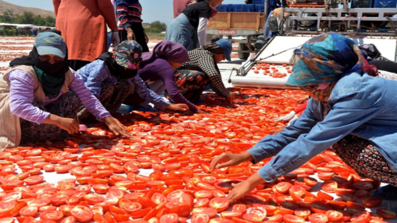 Kahramanmaraş'ın Türkoğlu ilçesinde, güneşte kurutulan domates'in görsel şöleni