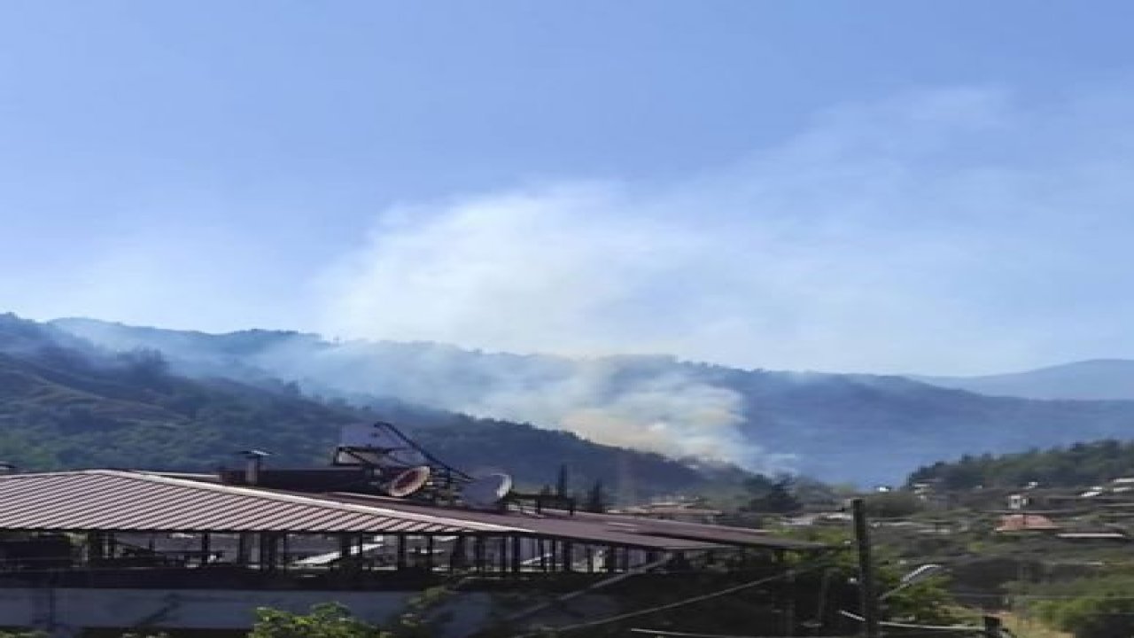 Hatay’da orman yangını