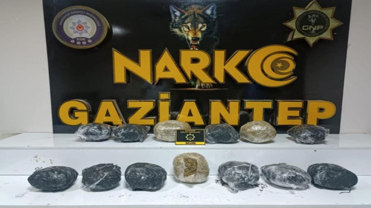 Gaziantep uyuşturucu operasyonu! Gaziantep'te 8 kilo skunk ele geçirildi: 1 gözaltı