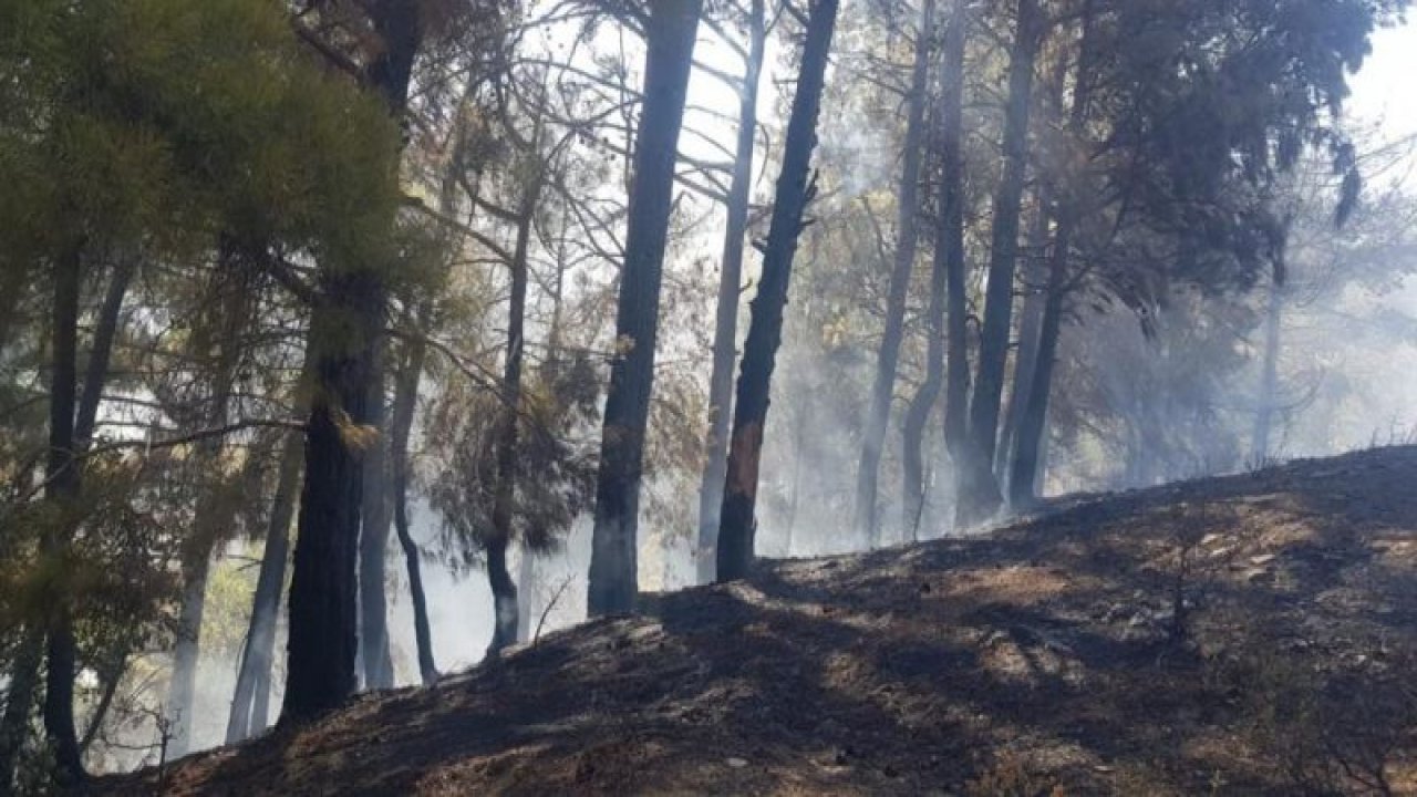 Gaziantep'te çıkan yangında 3 hektar alan zarar gördü