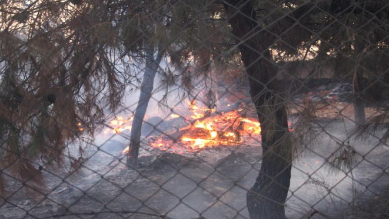 Kilis-Gaziantep kara yolunun 8. kilometresinde ormanlık alanda çıkan yangın söndürüldü