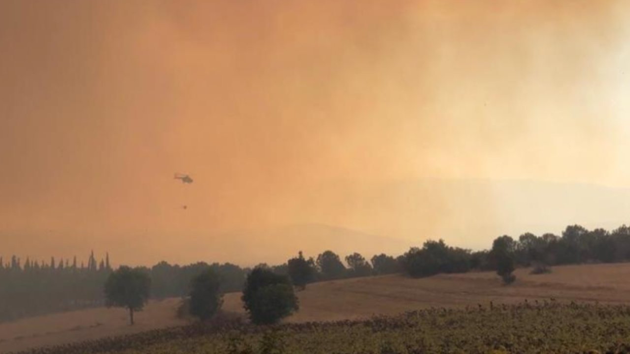Bursa'da orman yangını... Helikopterlerle Müdahale Ediliyor
