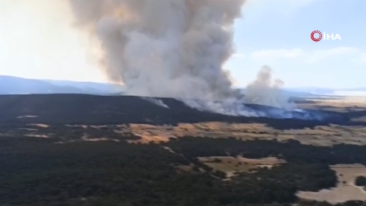 Türkiye YANIYOR! Eskişehir'de Orman Yangını! Çanakkale Bitmeden