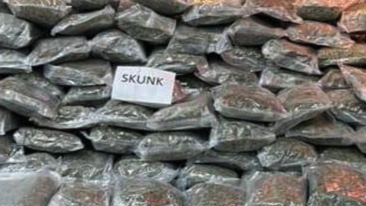 Gaziantep'te 6 kilo 450 gram skunk ele geçirildi