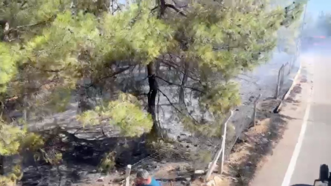Gaziantep Erikçe Ormanı'nda çıkan yangın söndürüldü