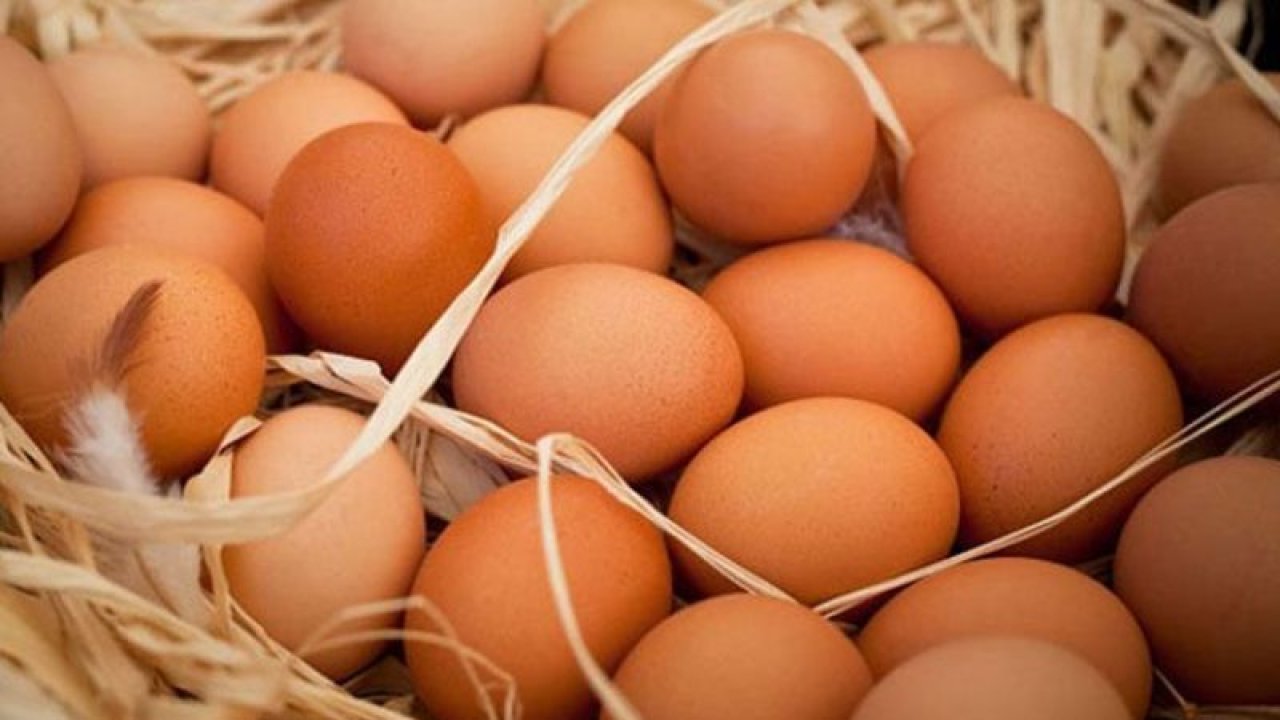Yumurtanın taze olup olmadığını, 10 saniye içerisinde anlayabilirsiniz! Yumurta hakkında bilinmeyenler
