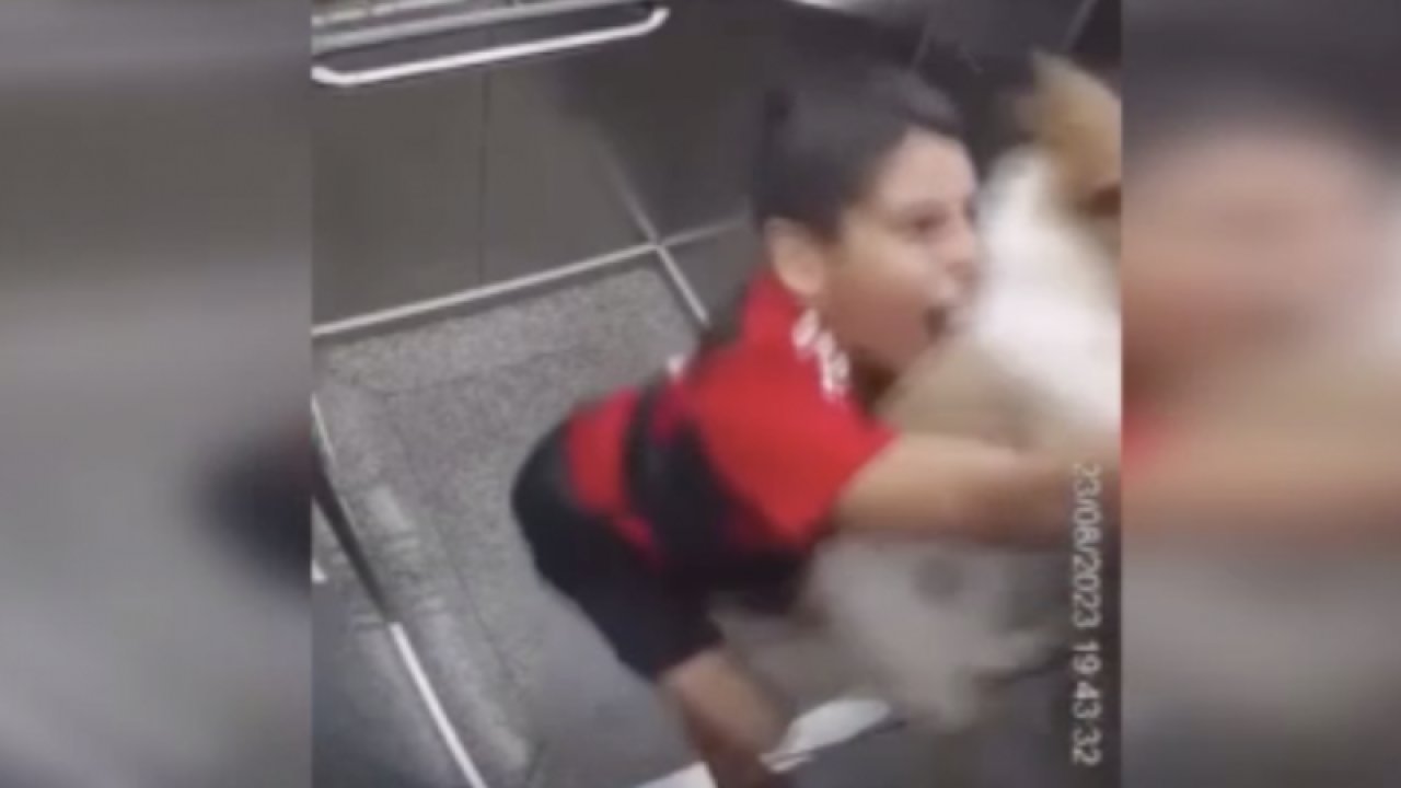 Tasması asansöre sıkışan köpeğini boğulmaktan son anda kurtardı