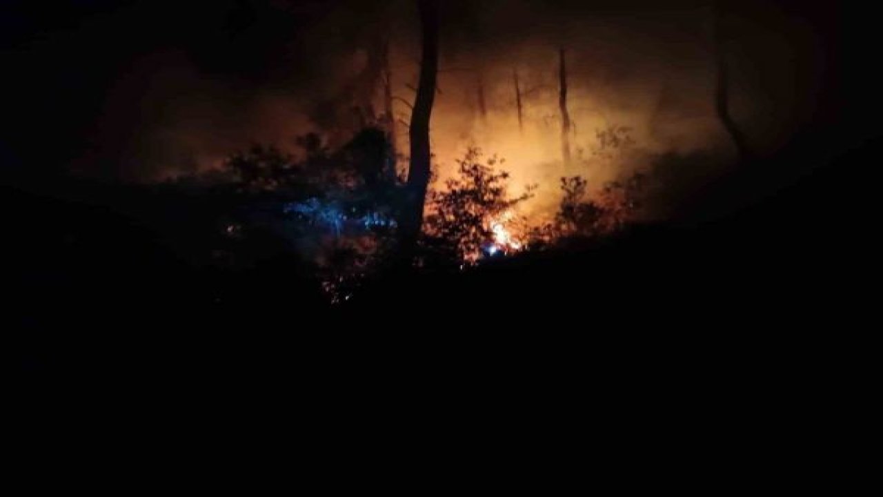 ADANA İKİNCİ KEZ YANIYOR! Adana’da aynı bölgede bir haftada ikinci orman yangını