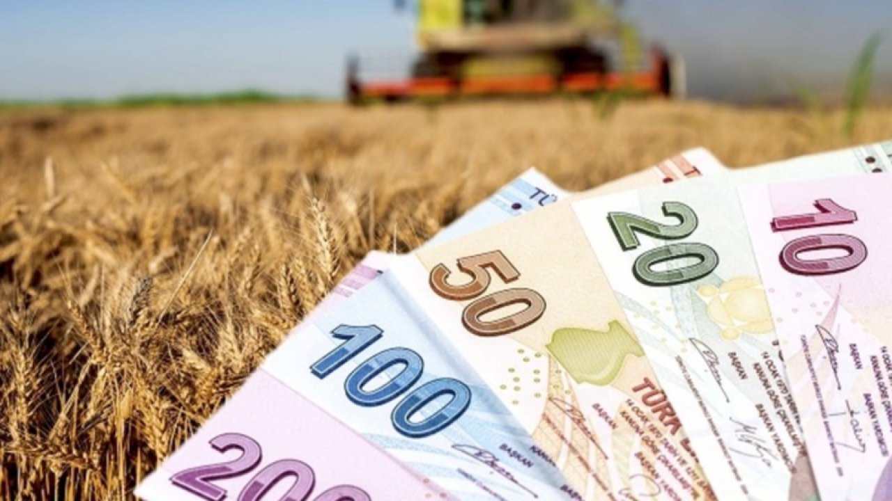 Gaziantep'te Çiftçileri yakından ilgilendiren karar Resmi Gazete'de yayınlandı! 2023 yılı tarım destekleri belli oldu
