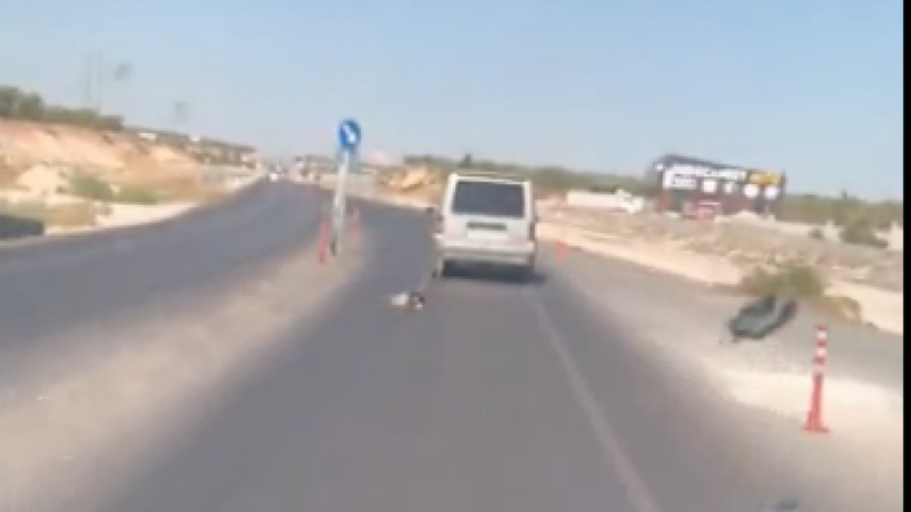 Vicdansız sürücü! Gaziantep'te bir araç sürücüsü kediyi aracına bağlayıp kilometrelerce sürükledi