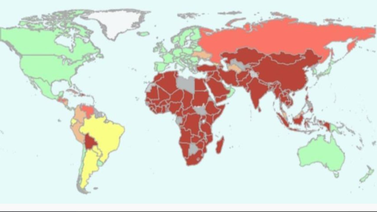 Dikkat! Türkiye kuduz için ‘en riskli ülkeler’ kategorisine alındı