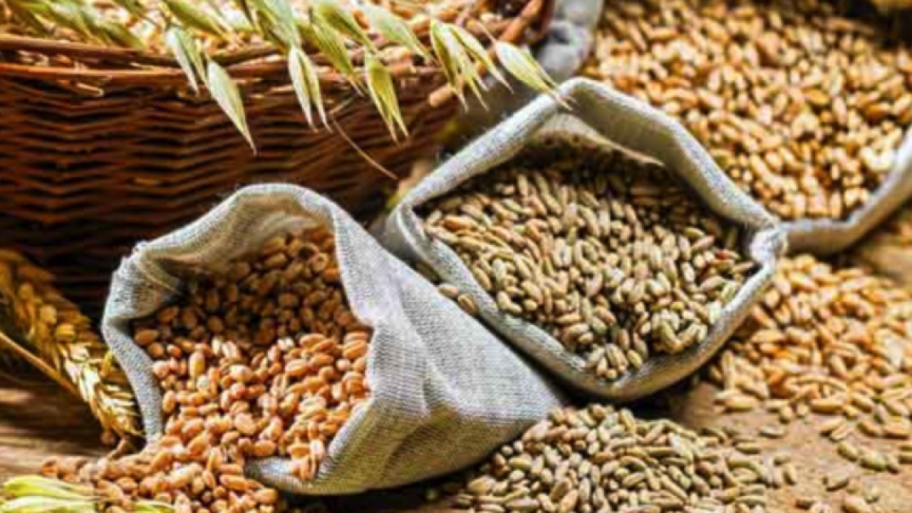Gaziantep Ticaret Borsası 20 Eylül 2023 Çarşamba Mercimek, Buğday, Arpa Ve Mısır Fiyatlarını Açıkladı... Gaziantep'te Ekmeklik Buğday Fiyatları