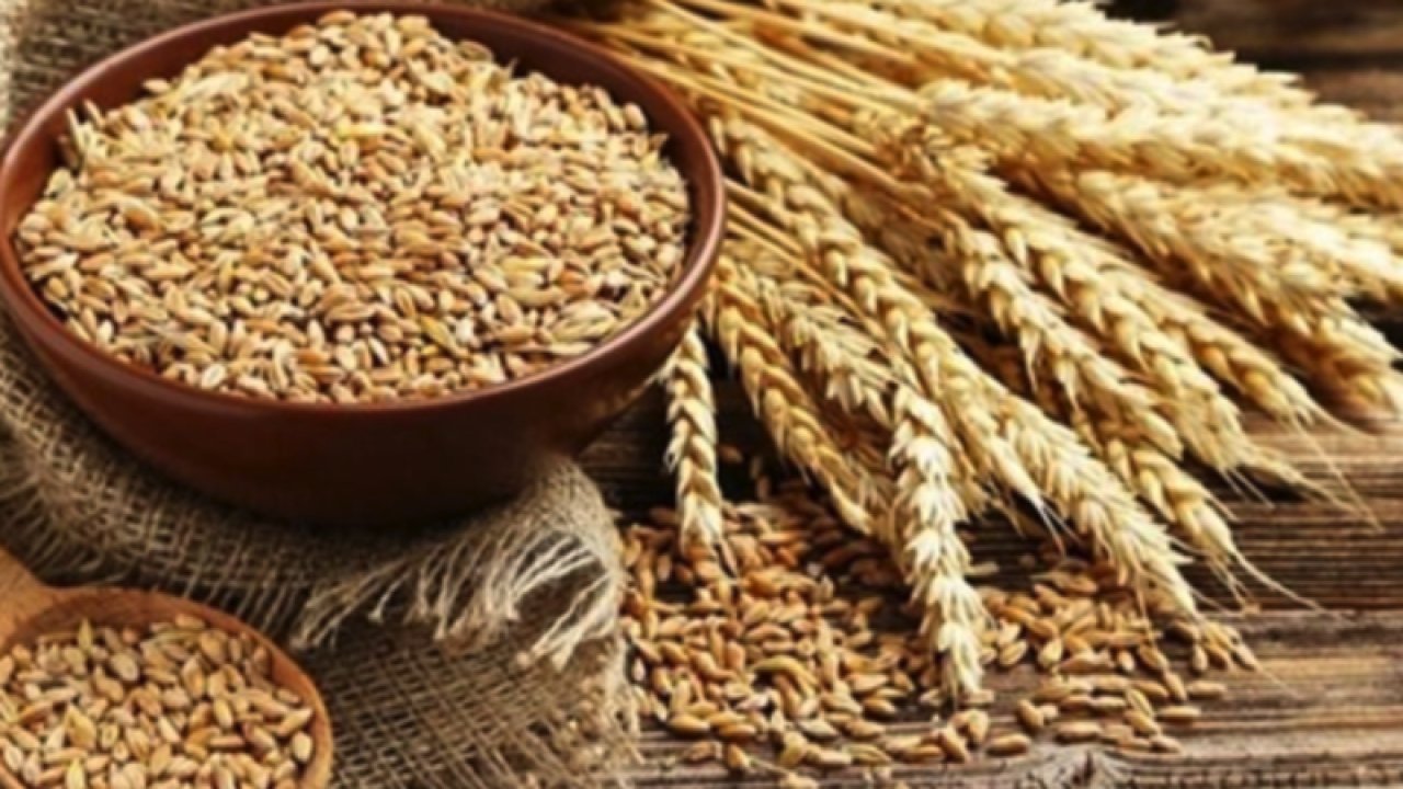 Şanlıurfa Ticaret Borsası 20 Eylül 2023 Çarşamba, arpa, mısır, Makarnalık nohurt ve mercimeğin kilogramı ne kadar?